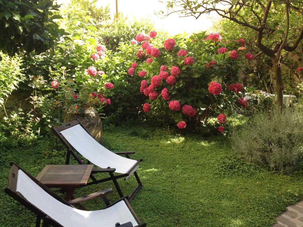 Il Giardino Incantato Monterosso al Mare Exteriér fotografie